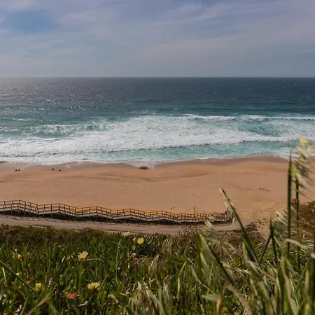 Campimeco By Campigir Alfarim