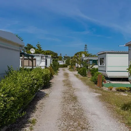 Campimeco By Campigir * Alfarim