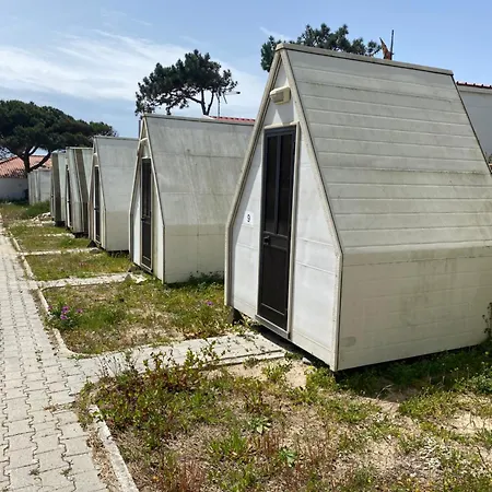 Campimeco By Campigir *